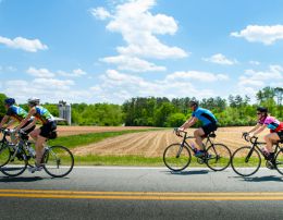 Bike tour to countryside