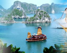 Cozy Sapa & Scenic Halong Bay