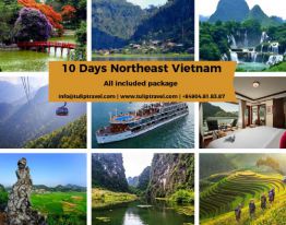 Highlights of Northeast Vietnam