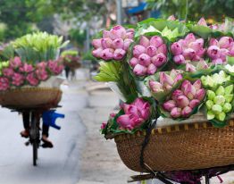 Hanoi Full Day City Tour