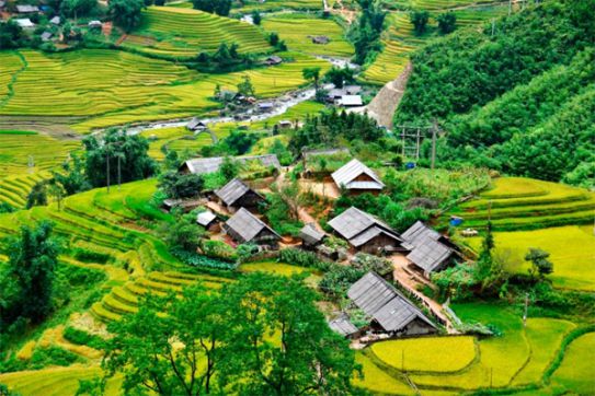 Traditions honor the dead in Vietnam