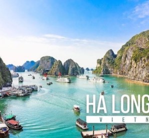 Orchid Classic Cruise Halong Bay Join In Cruise