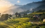 sapa