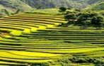 Lao Chai, Ta Van village 