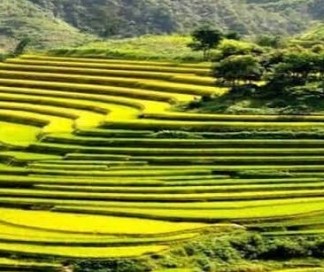 Lao Chai, Ta Van village 