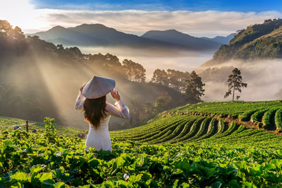 Video giới thiệu tour