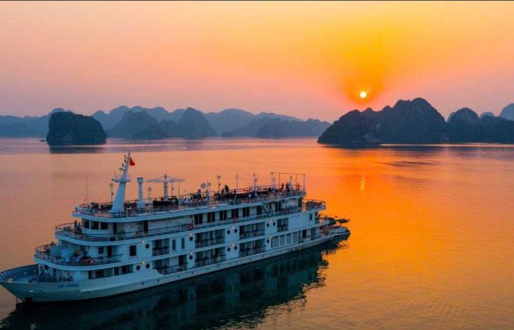 Cruise